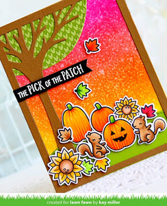 pick of the patch